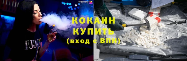 a pvp Няндома
