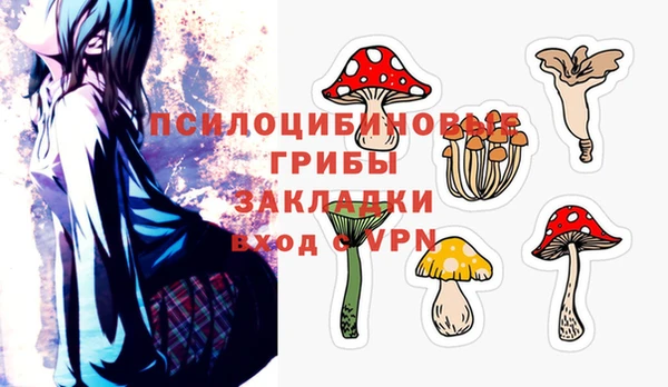 кокаин Новодвинск