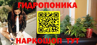 молекула духа Гусев