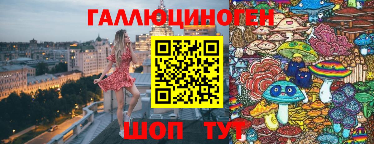 Галлюциногенные грибы Psilocybe Зеленогорск