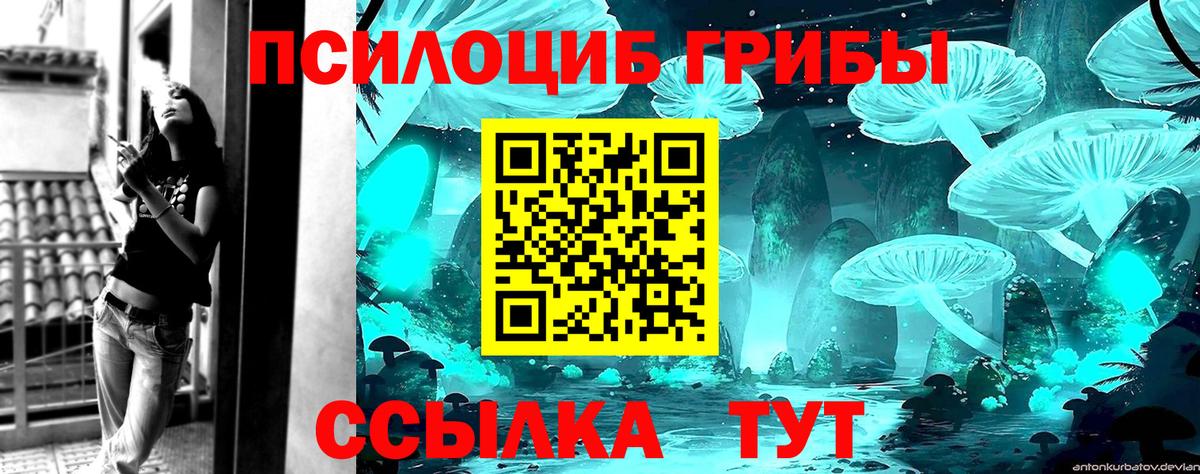 Галлюциногенные грибы Cubensis  Вход с VPN  Зеленогорск 