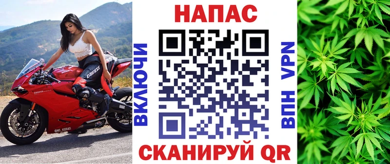 купить наркоту  Зеленогорск  Каннабис индика 